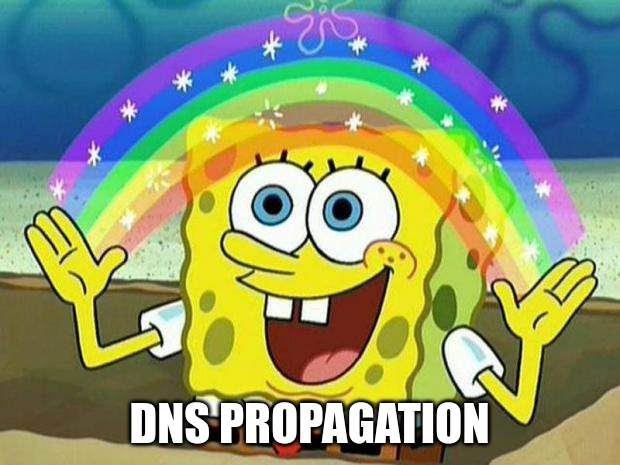 DNS propagation